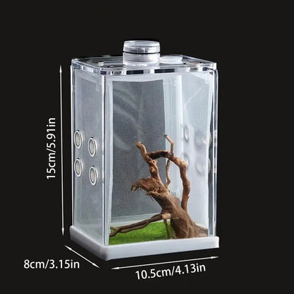 Reptile Hatching Box, Reptile Terrariums Enclosure,  Amphibian Supplies, Feeding Spider, Cage Feeding Container
