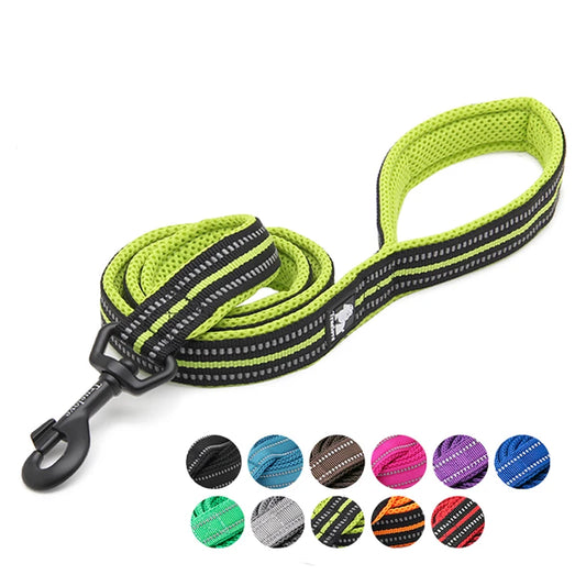 Dog Leash with Padded Handle Training
