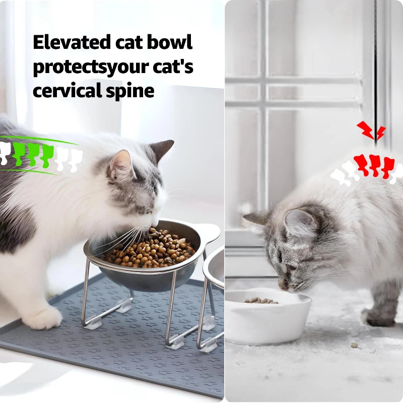 Stainless Steel Raised Cat Bowl with 15° Elevated Shatterproof for Cats and Puppies