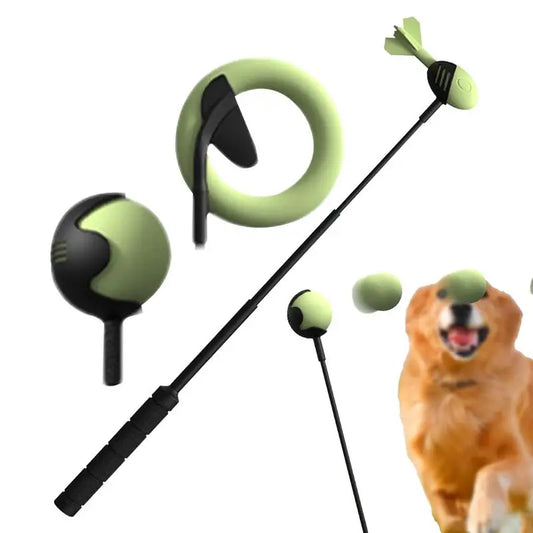 Pole Pet Throwing Stick and ball