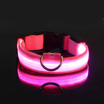 Nylon LED Night Safety Flashing Dog Leash, Glow in The Dark Luminous Fluorescent Pet Collar for Dogs