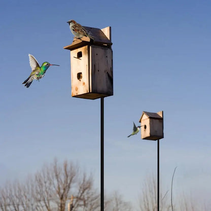 Heavy Duty Outdoor Bird Feeder Stand, Multifunctional Weather Station ,Mounting Kits For Lawn