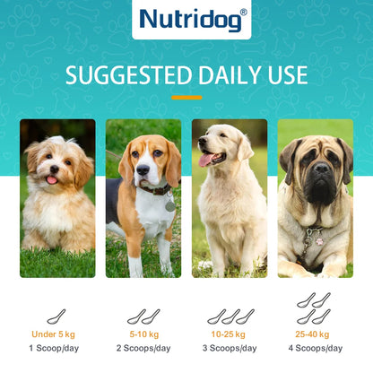 Dog Calming Supplement Powder Anxiety Relief Chamomile Powder for Dog Thunderstorm Separation Anxiety Soothes