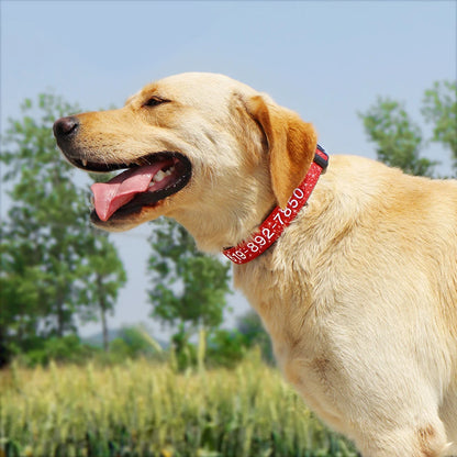 Adjustable Nylon Embroidered Dog Collar, Custom ID Name Accessories Pet Collars For Small, Medium, Large Dogs \
