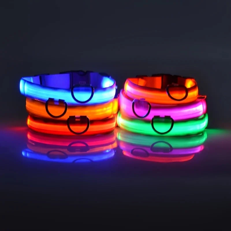 Nylon LED Night Safety Flashing Dog Leash, Glow in The Dark Luminous Fluorescent Pet Collar for Dogs