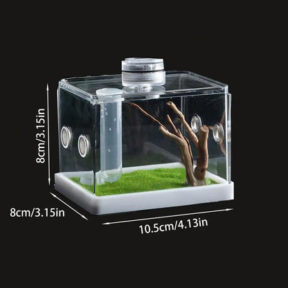 Reptile Hatching Box, Reptile Terrariums Enclosure,  Amphibian Supplies, Feeding Spider, Cage Feeding Container