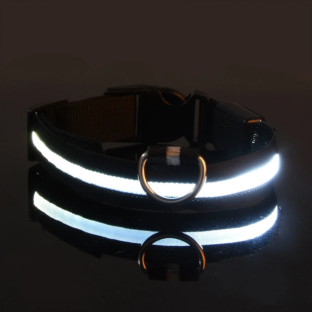 Nylon LED Night Safety Flashing Dog Leash, Glow in The Dark Luminous Fluorescent Pet Collar for Dogs