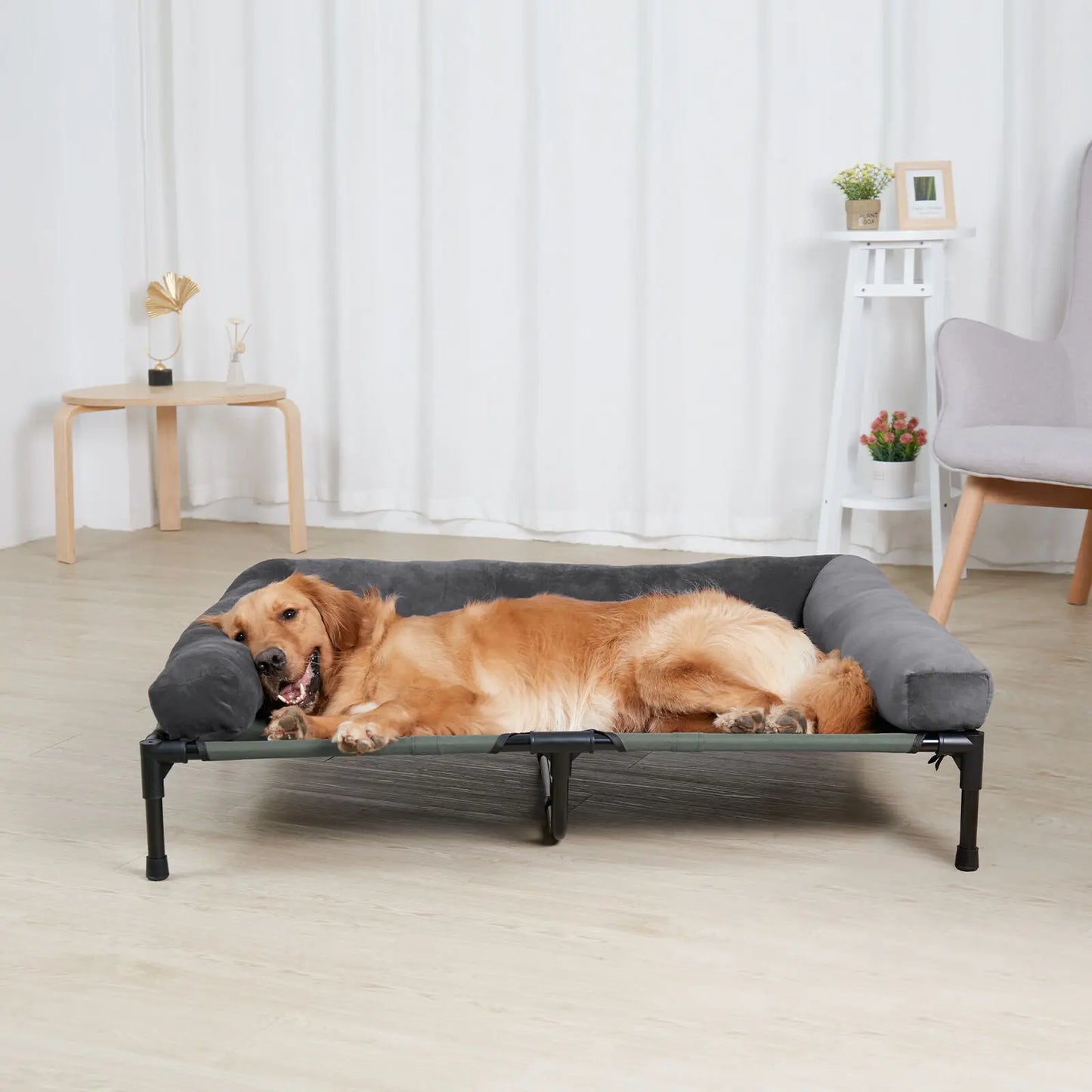 Elevated  Bed for Dogs and Cats Indoor and Outdoor