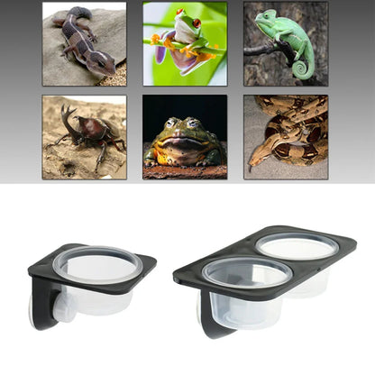 Reptiles & Amphibians, Lizard, Gecko, Suction Cup, Feed Bowls, Food Container with Bowl for Reptile Food and Water Feeding