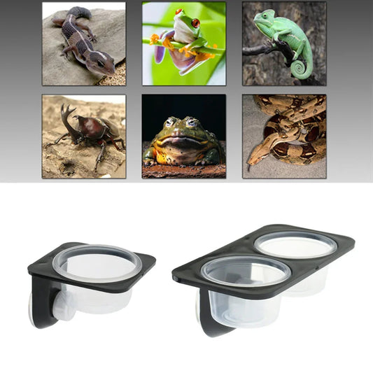 Reptiles & Amphibians, Lizard, Gecko, Suction Cup, Feed Bowls, Food Container with Bowl for Reptile Food and Water Feeding