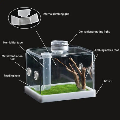 Reptile Hatching Box, Reptile Terrariums Enclosure,  Amphibian Supplies, Feeding Spider, Cage Feeding Container