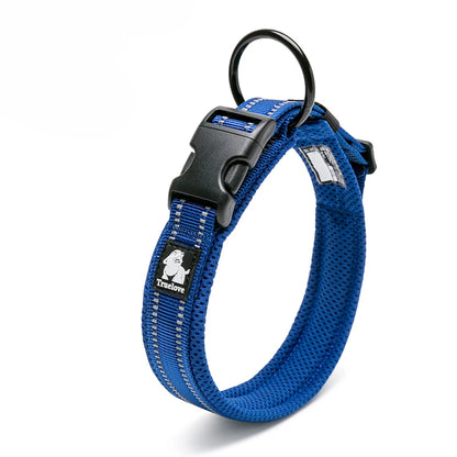 Dog Walking Collar Comfort Padded with Buckle Nylon