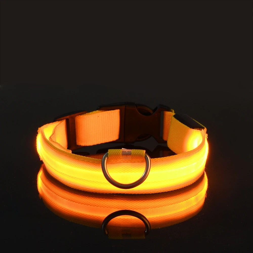 Nylon LED Night Safety Flashing Dog Leash, Glow in The Dark Luminous Fluorescent Pet Collar for Dogs