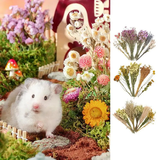 Nature Flower Herb Hamster Bedding, Decor Hamster Cage,  Supplies For Hamsters,  Gerbil,  Rabbits, or Other Small Pets