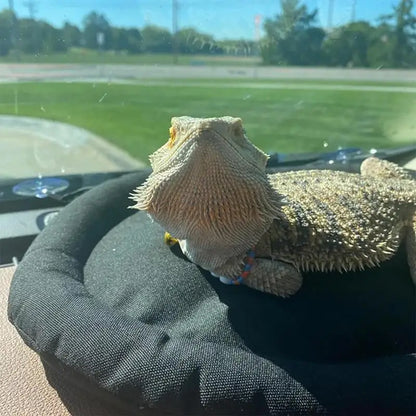 Car Lizard Hammock, Portable, Comfortable, Lizard Pad, Bearded Dragon Supplies, Lightweight Reptile Bed With Strong Suction Cup
