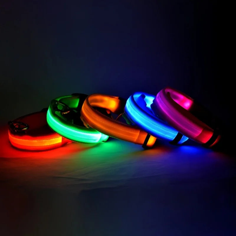 Nylon LED Night Safety Flashing Dog Leash, Glow in The Dark Luminous Fluorescent Pet Collar for Dogs