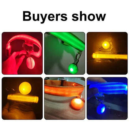 Usb Charging Glowing Dog Collar With Pendant Detachable , Luxury Led Light Bright For Small Dogs Night Safety Collar Wholesale