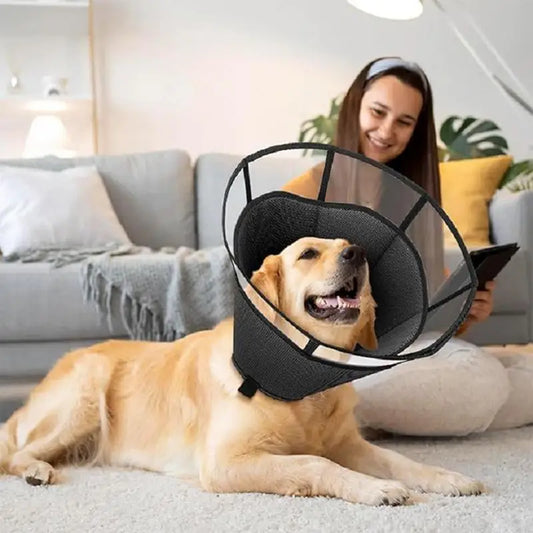 Dog Recovery Cone, Adjustable Soft Cone, Wound Care Visible Wrap, Anti-Lick Shield,  Breathable Pet Collar Anti-Bite