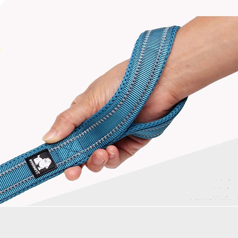 Dog Leash with Padded Handle Training