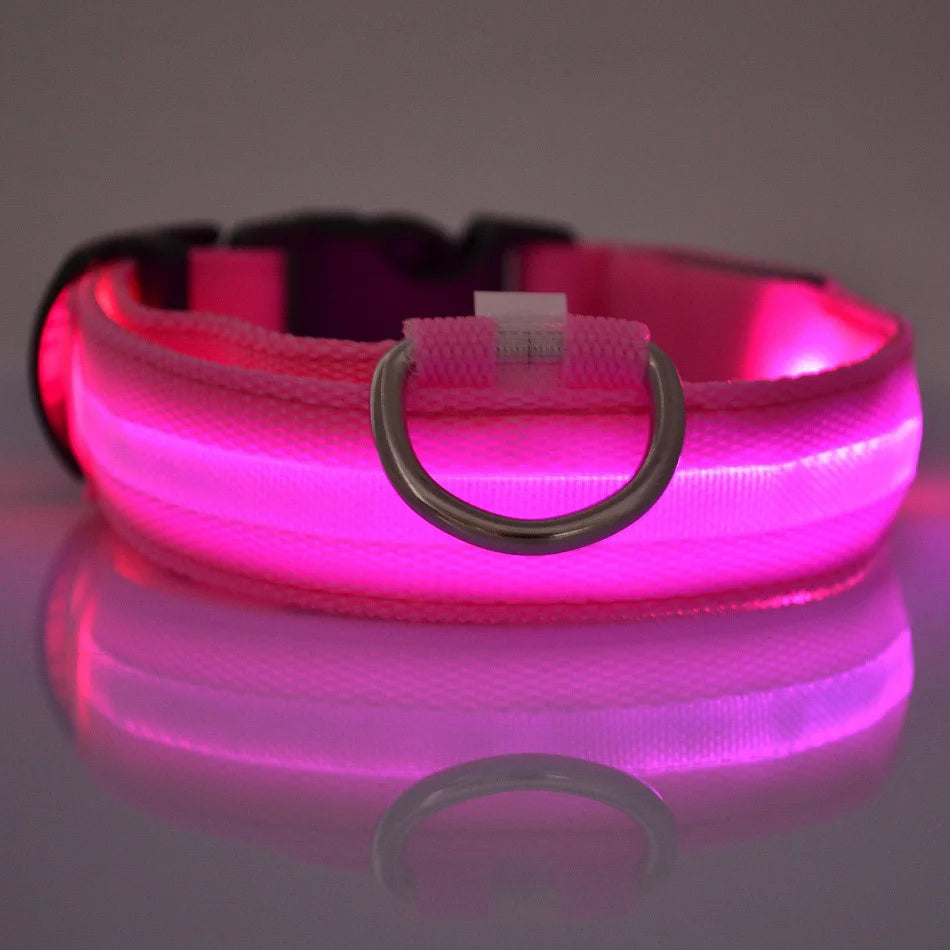 Nylon LED Night Safety Flashing Dog Leash, Glow in The Dark Luminous Fluorescent Pet Collar for Dogs