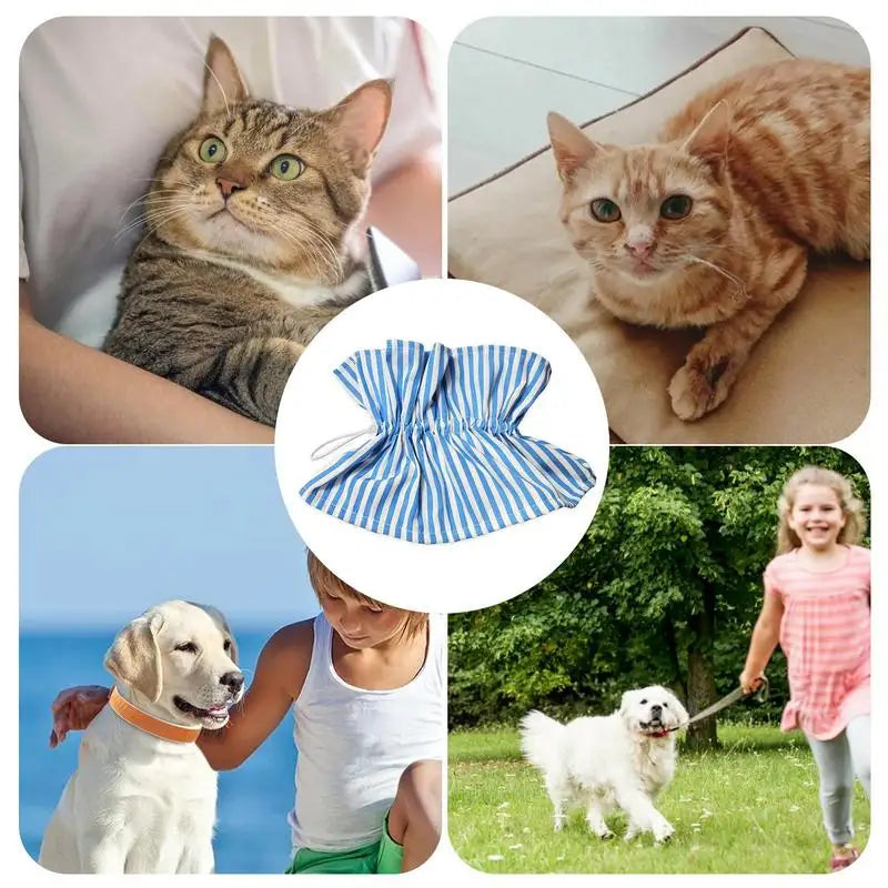 Soft Collar For Cats Recovery