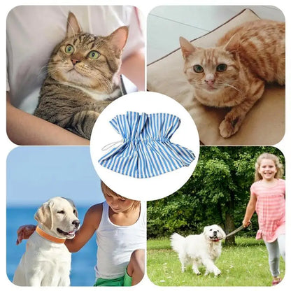 Soft Collar For Cats Recovery