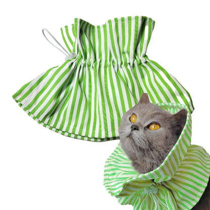 Soft Collar For Cats Recovery