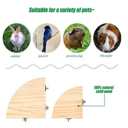 Parrot Wooden Stand