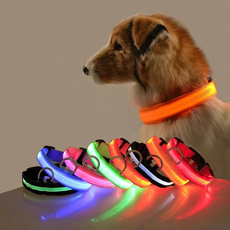 Nylon LED Night Safety Flashing Dog Leash, Glow in The Dark Luminous Fluorescent Pet Collar for Dogs