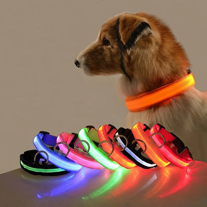 Nylon LED Night Safety Flashing Dog Leash, Glow in The Dark Luminous Fluorescent Pet Collar for Dogs