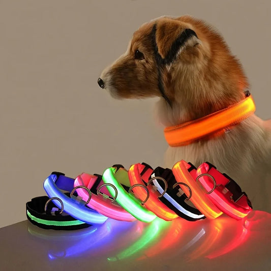 Nylon LED Night Safety Flashing Dog Leash, Glow in The Dark Luminous Fluorescent Pet Collar for Dogs