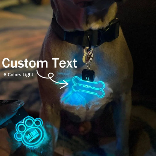 Night Walk Safety Light Dog Tag
