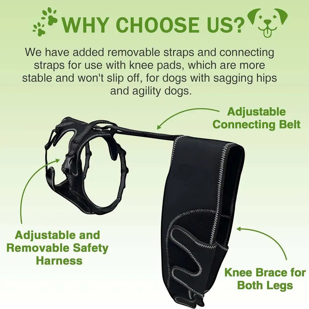 Orthopedic Hip Brace For Dogs