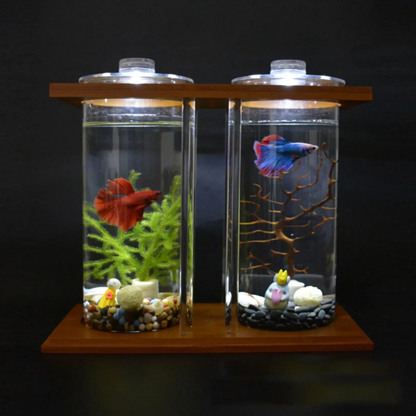 Glass Betta Fish Tank with LED Light, Bamboo Base, Mini Aquarium Set for Desktop Home Office Decoration, 2 Tanks