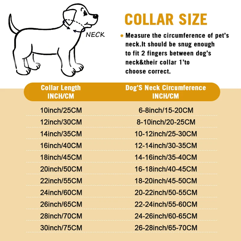 Stainless Chain Collar