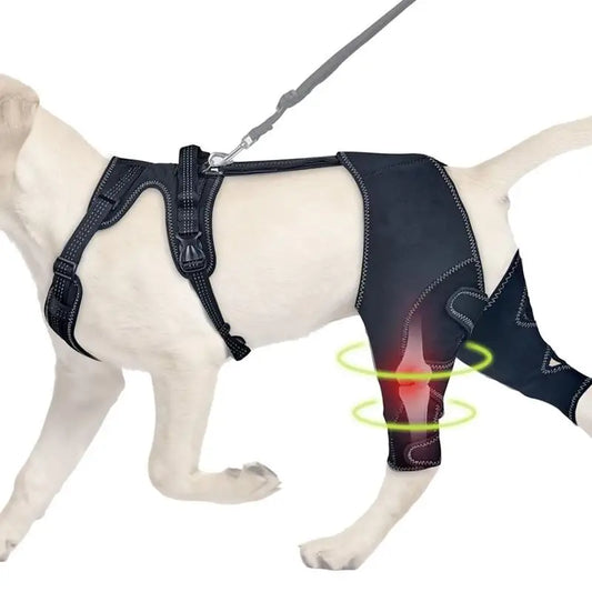 Orthopedic Hip Brace For Dogs
