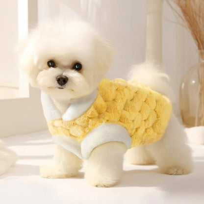 Winter Pet Vest Jacket for cats and small dogs