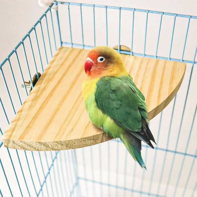 Parrot Wooden Stand