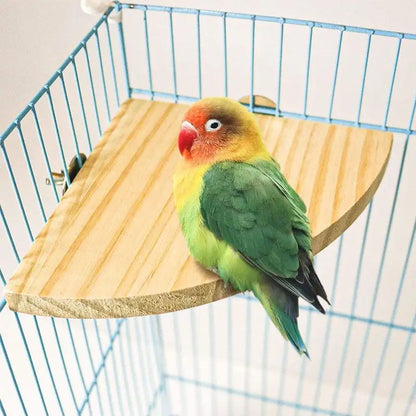 Parrot Wooden Stand
