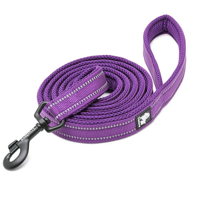 Dog Leash with Padded Handle Training