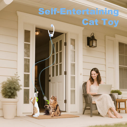 Cat Interactive Toys, Electric Door Hanger