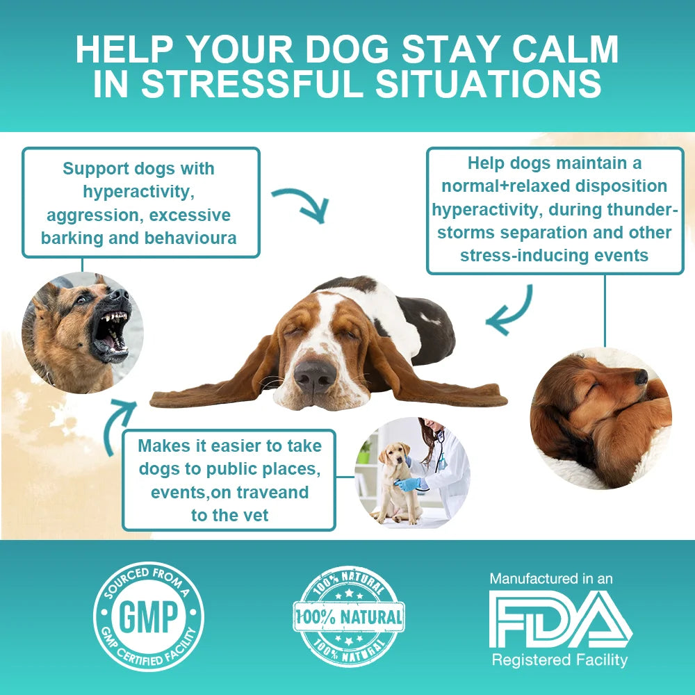Dog Calming Supplement Powder Anxiety Relief Chamomile Powder for Dog Thunderstorm Separation Anxiety Soothes