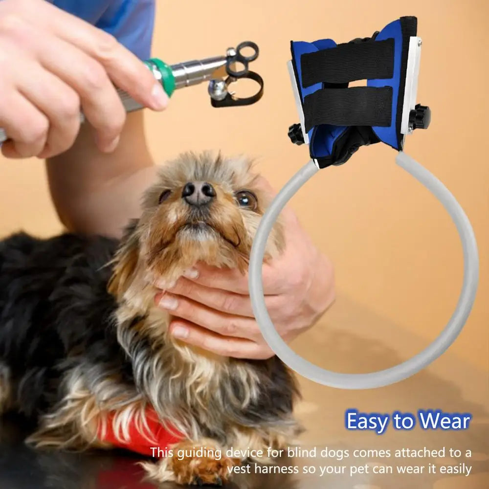 Blind Dog Anti-collision Collar, Protective Vest, Blind Dog Guiding Harness, Training Behavior