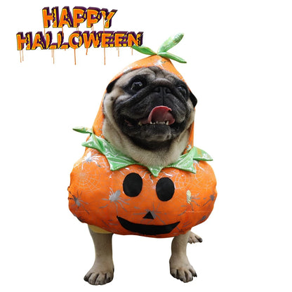 Halloween Dog Pumpkin Costumes Pet Dog