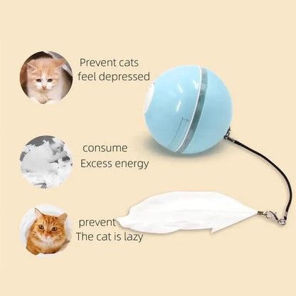 USB Rechargeable Cat Ball for a Kitten