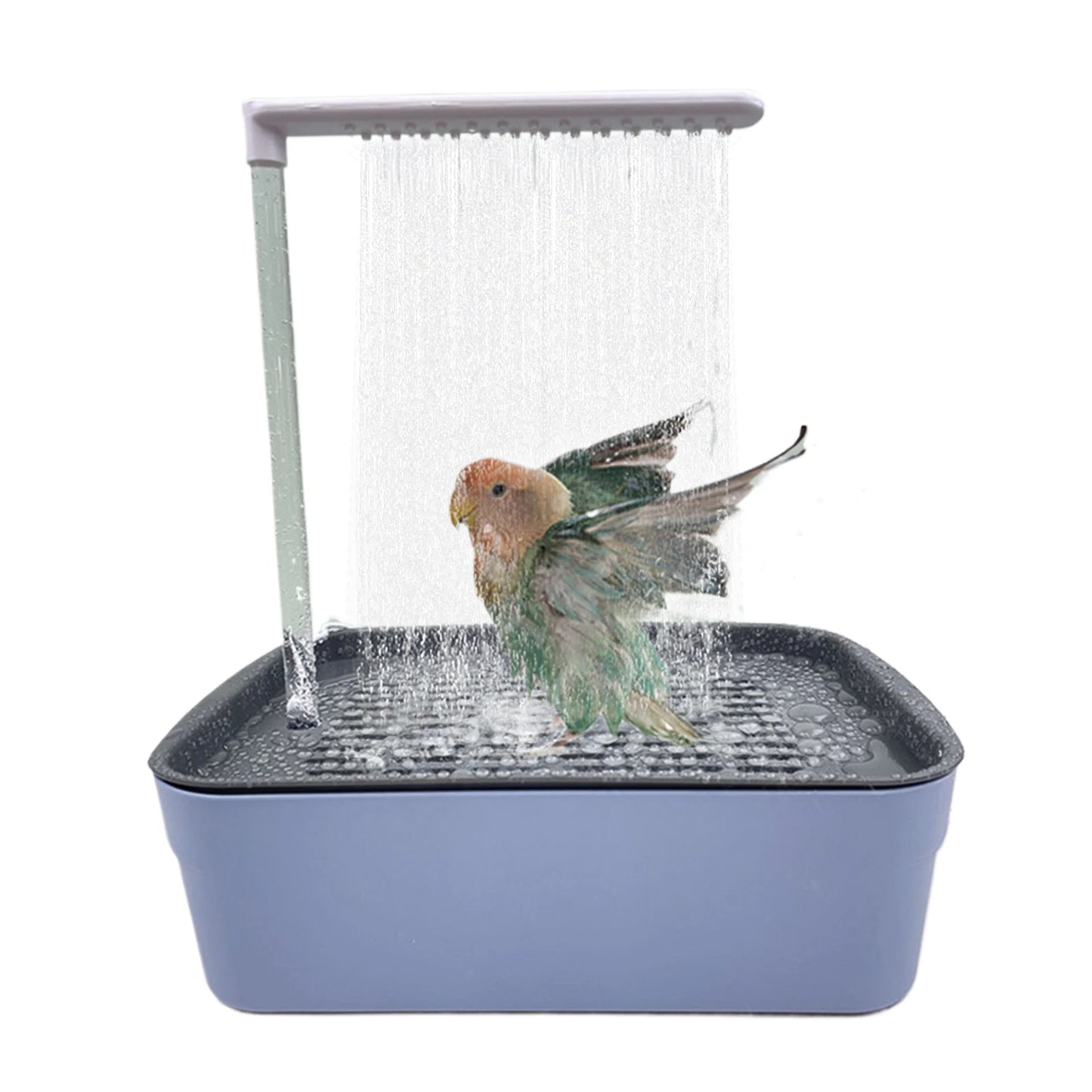 Shower Pet Bird Bathtub