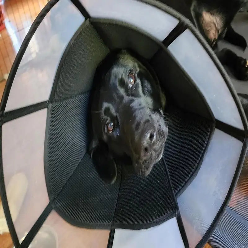 Dog Recovery Cone, Adjustable Soft Cone, Wound Care Visible Wrap, Anti-Lick Shield,  Breathable Pet Collar Anti-Bite