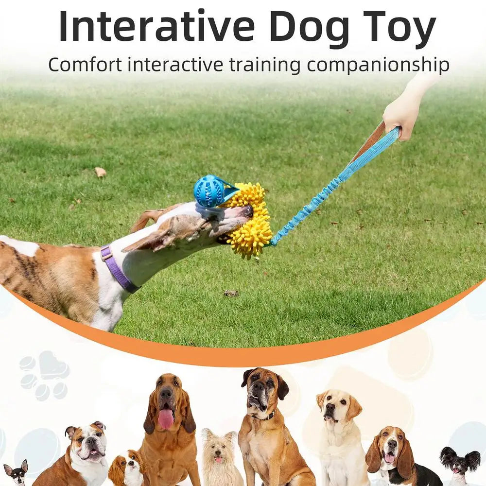 Dog Squeaky Toy Rope