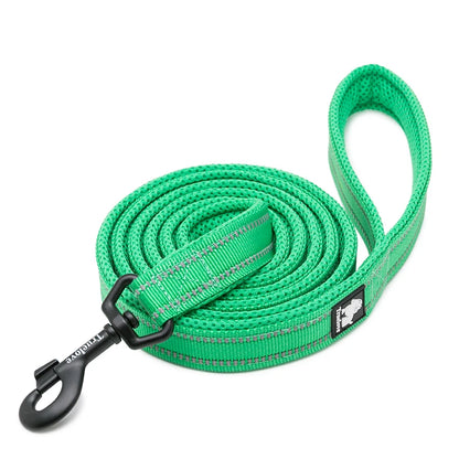 Dog Leash with Padded Handle Training