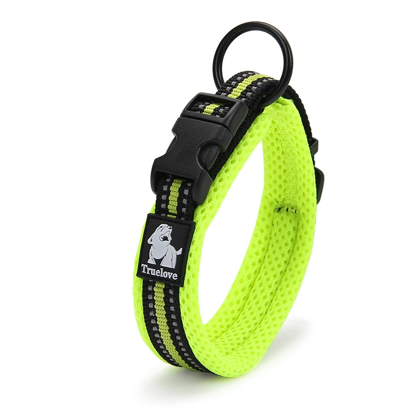 Dog Walking Collar Comfort Padded with Buckle Nylon
